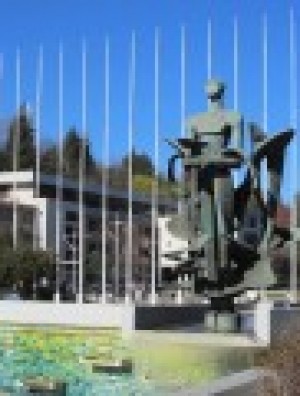 Imagen Curso de Verano espera a investigadores en salud mental de toda Latinoamérica
