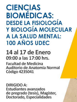 Imagen Escuela de Verano: 14 al 17 de enero 2019